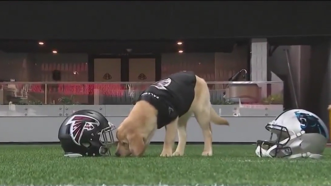 Mae picks the Falcons to win over Carolina this weekend