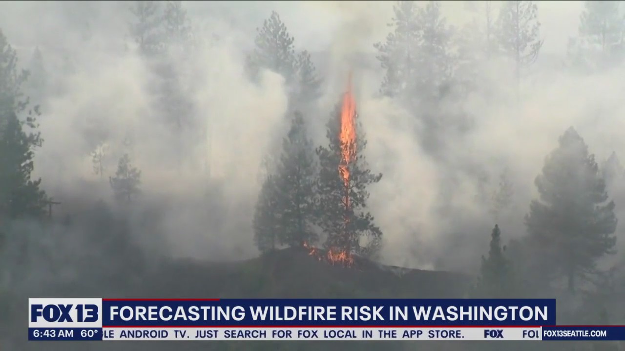 Forecasting wildfire risk in Washington