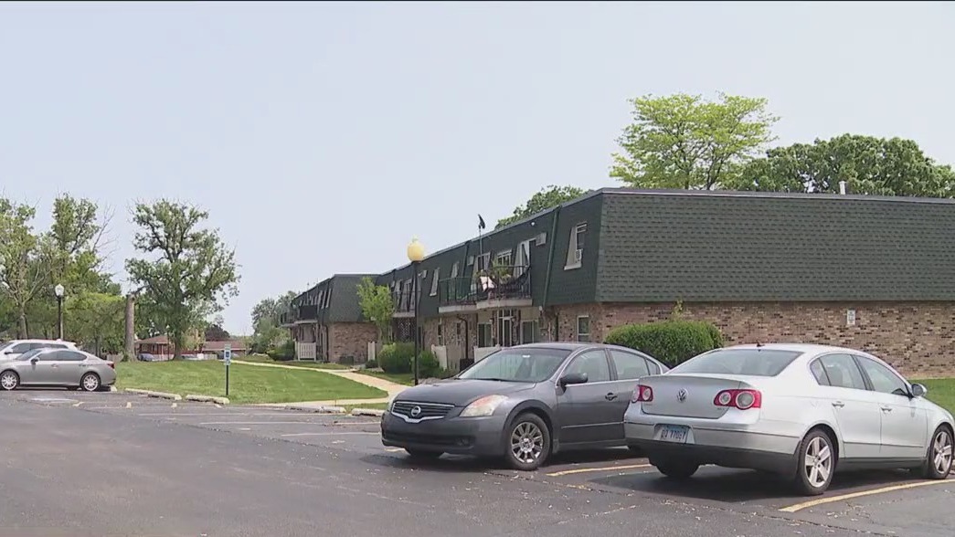 Thieves target Kias, Hyundais in Palos Hills parking lots