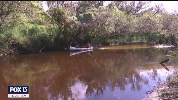 Leave behind the sprawl on the Little Manatee River
