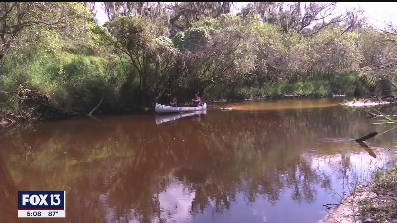 Leave behind the sprawl on the Little Manatee River