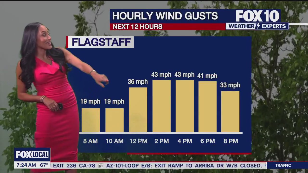 Morning Weather Forecast - 4/26/2025