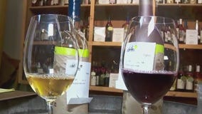 Wine judging at the Minnesota State Fair