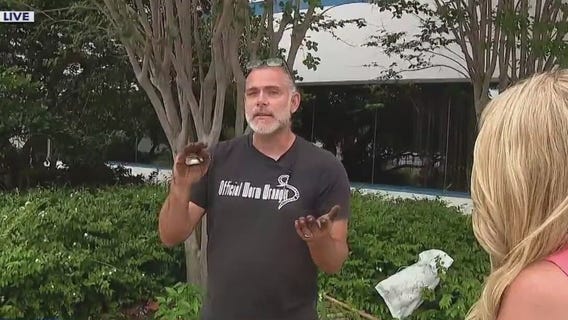 How to maintain a garden during rainy months