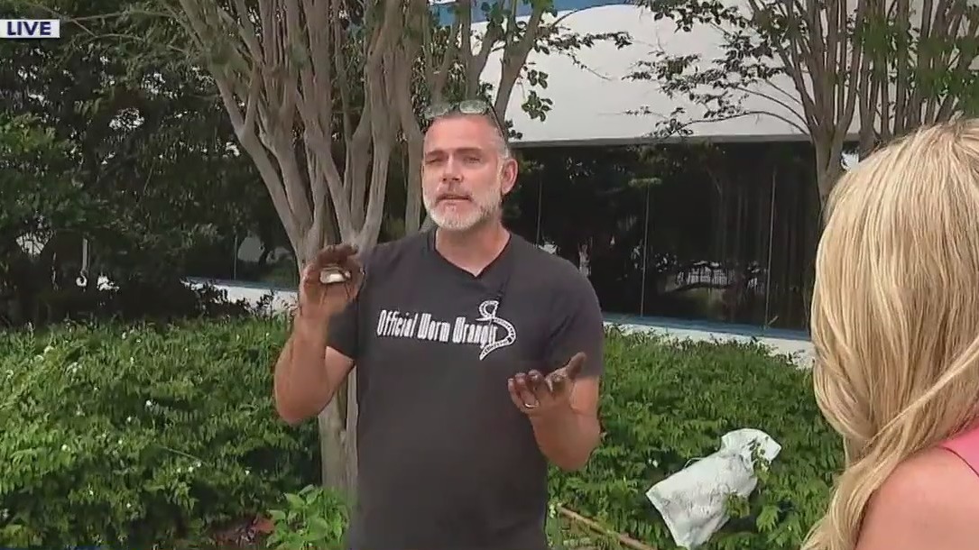 How to maintain a garden during rainy months