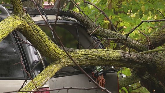 Damaging winds slam Metro Detroit