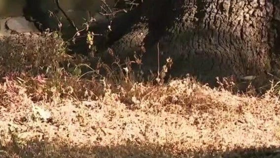 Texas has about 15,000 abandoned wells