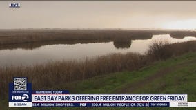 Skip the malls, enjoy Green Friday at the park