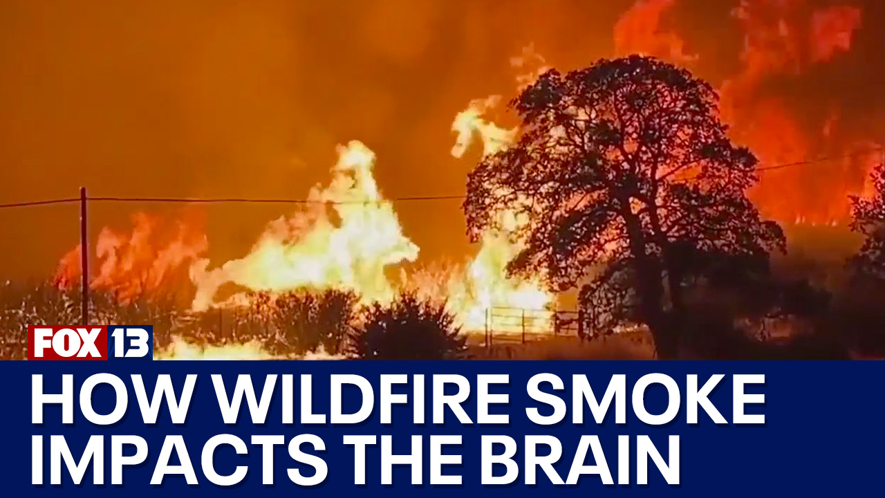 How breathing wildfire smoke can effect your brain