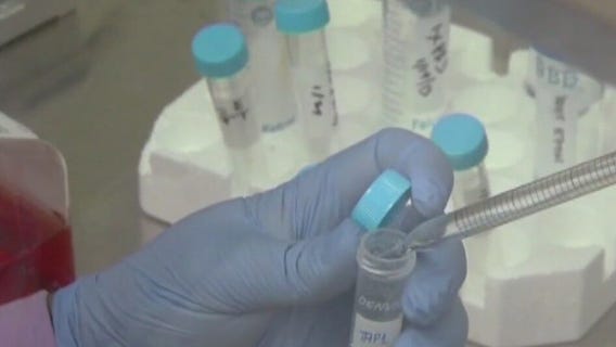 Cancer vaccine gets green light