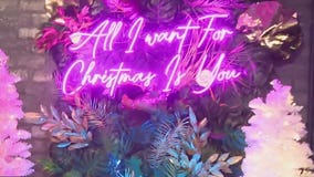 Emilia's Havana | Bayou City Buzz