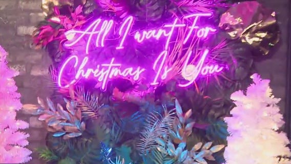 Emilia's Havana | Bayou City Buzz