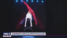 Circus arts performers from around the world performing in Sarasota