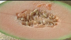 Recall on cantaloupe due to salmonella