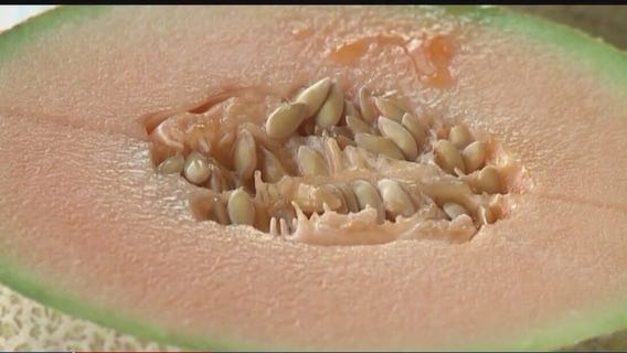 Recall on cantaloupe due to salmonella