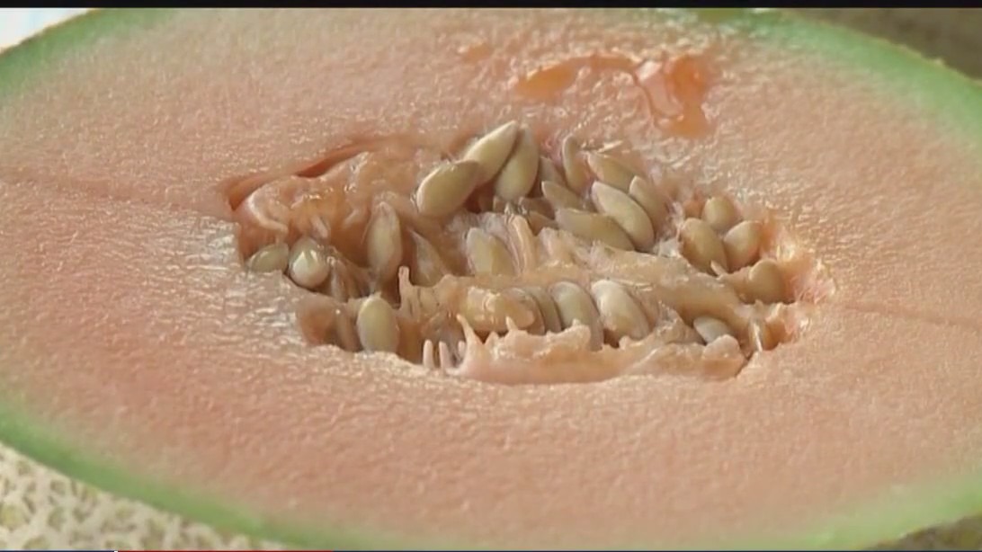 Recall on cantaloupe due to salmonella