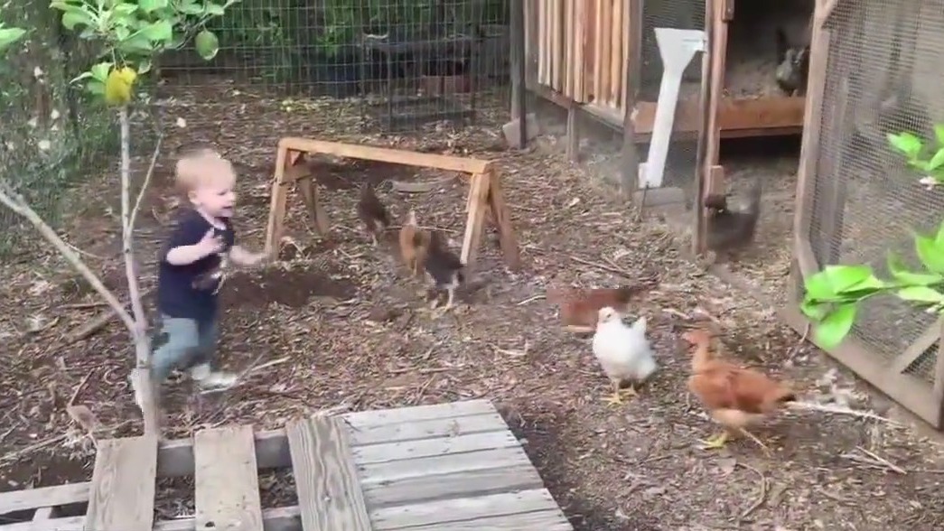 Family gives out free eggs to LA fire victims