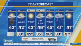 NYC weather forecast