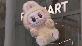 Labubu: Details on the hottest toy of the year