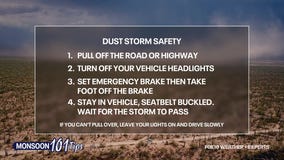 Monsoon 101: Dust storm safety