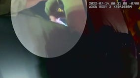 Disturbing video shows LASD deputy punching mom holding baby