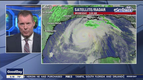 Today's tropics update