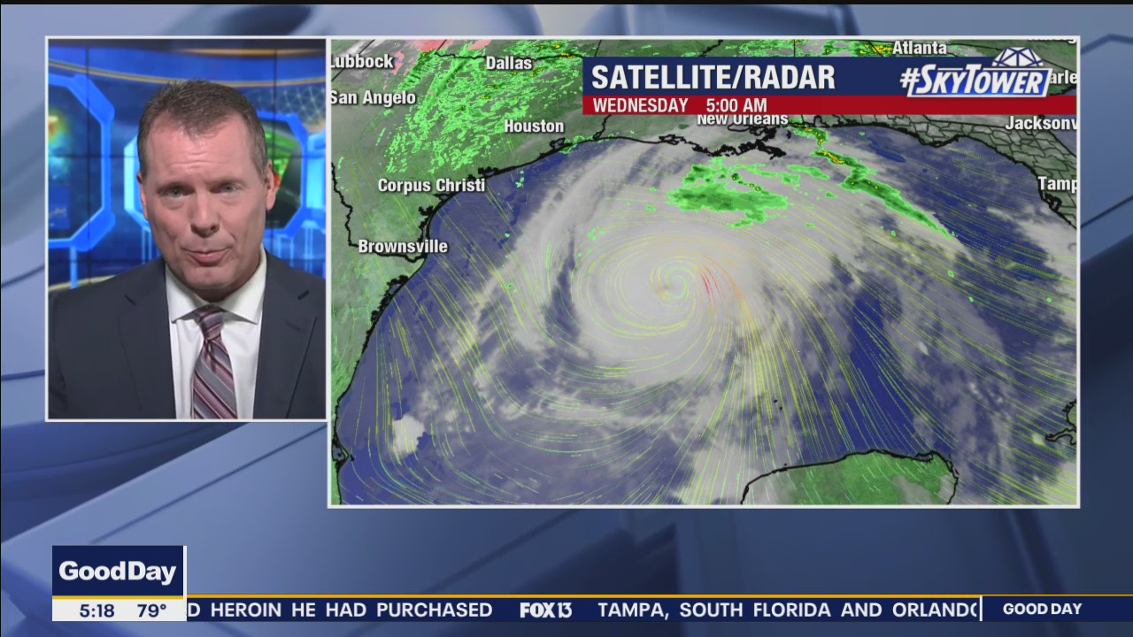 Today's tropics update