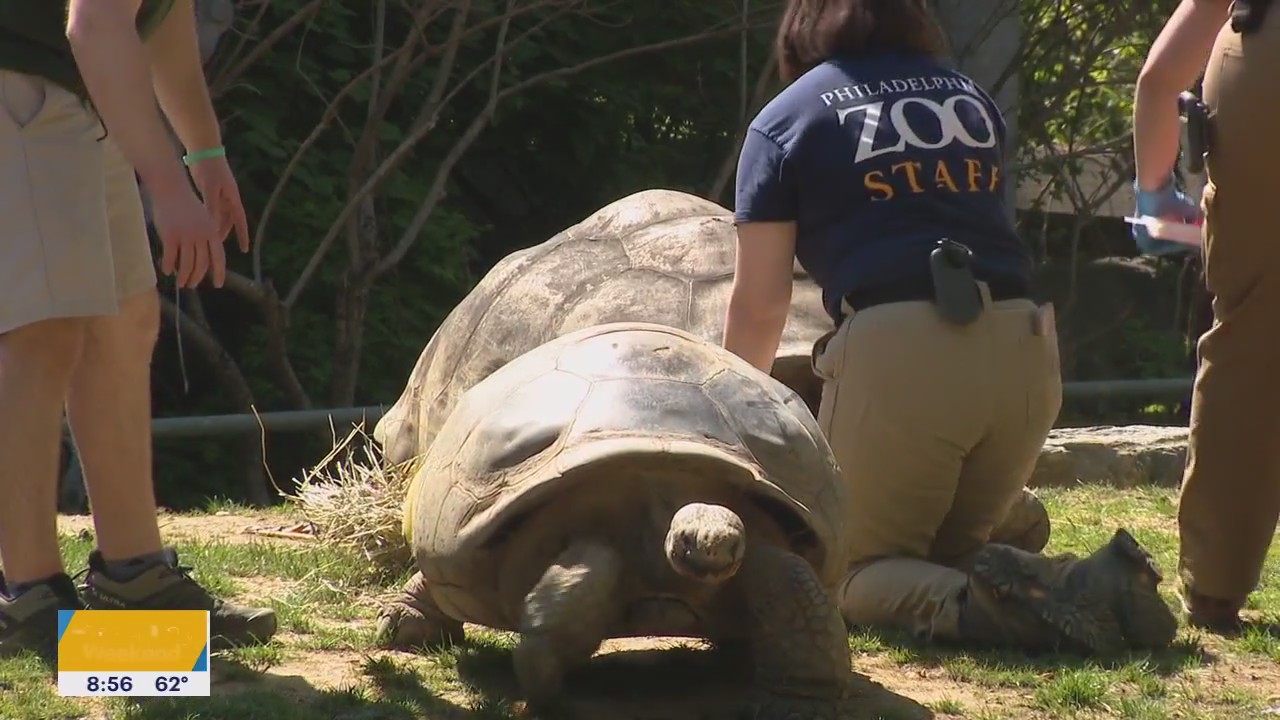 Pope Francis farewell, Diddy sex trafficking case |  Good Day Weekend