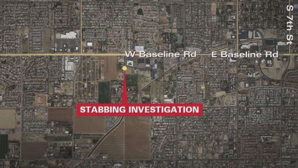 Man injured in Phoenix stabbing, suspect arrested