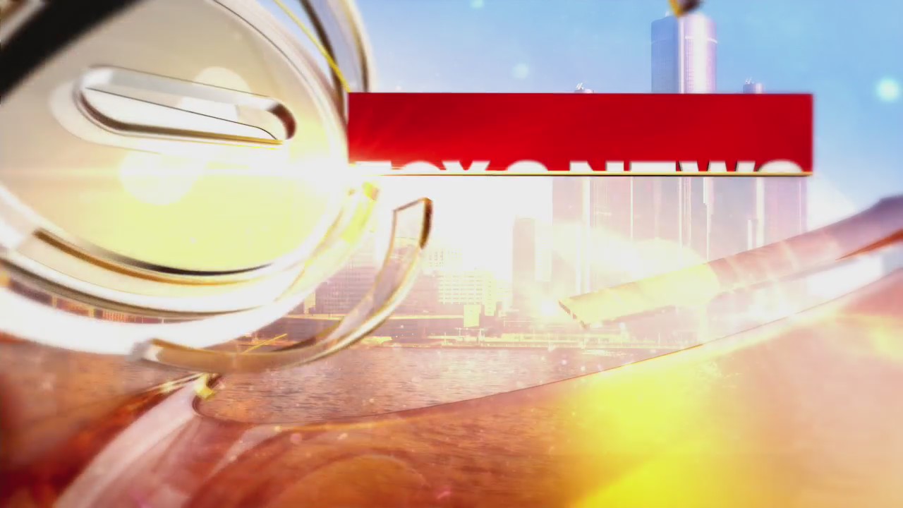 What to do if your Dog starts Eating Grass