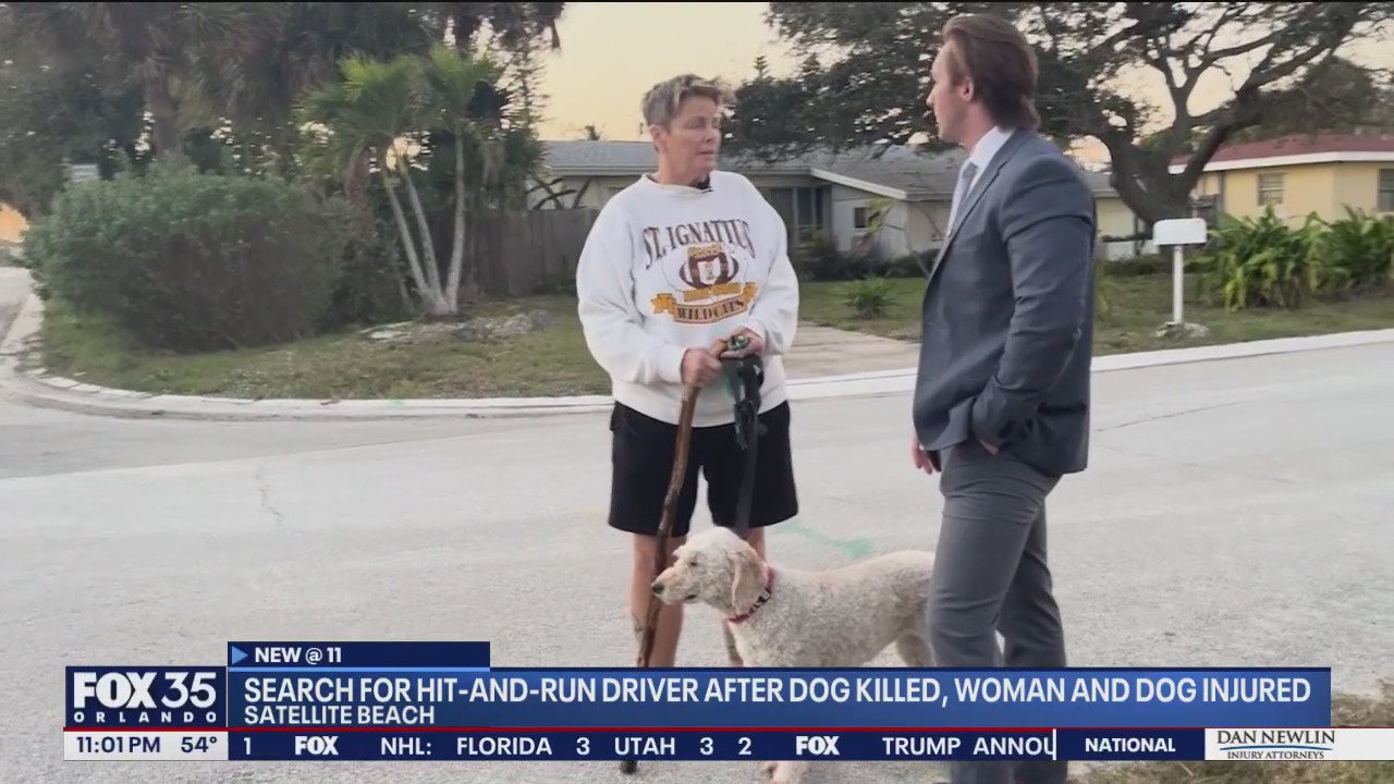 Woman urges hit-and-run driver to come forward after crash kills her dog