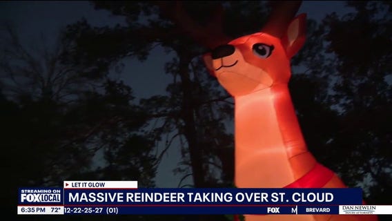 Let It Glow: Massive reindeer takes over St. Cloud