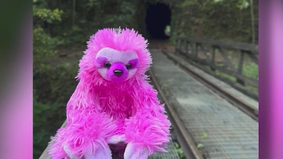 Sloth donation to children's hospital in memory of girl