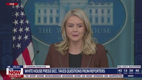 Karoline Leavitt asked about Trump-Epstein connection