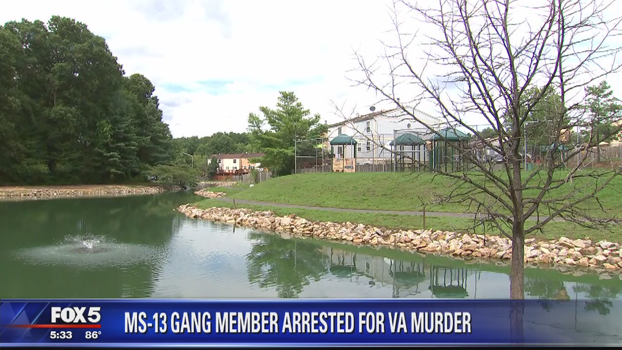 Suspect wanted in MS-13 gang-related murder of Virginia teen arrested in Georgia