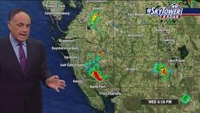 Tampa weather | Mostly clear skies and hot temps