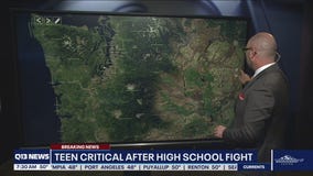 Teen critical after high school fight