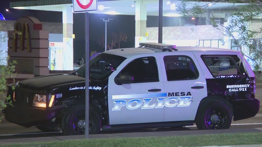 Mesa officer, K-9 involved in crash