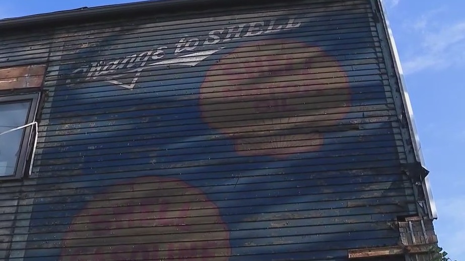 Time running out to save 'ghost signs' found in Lake View