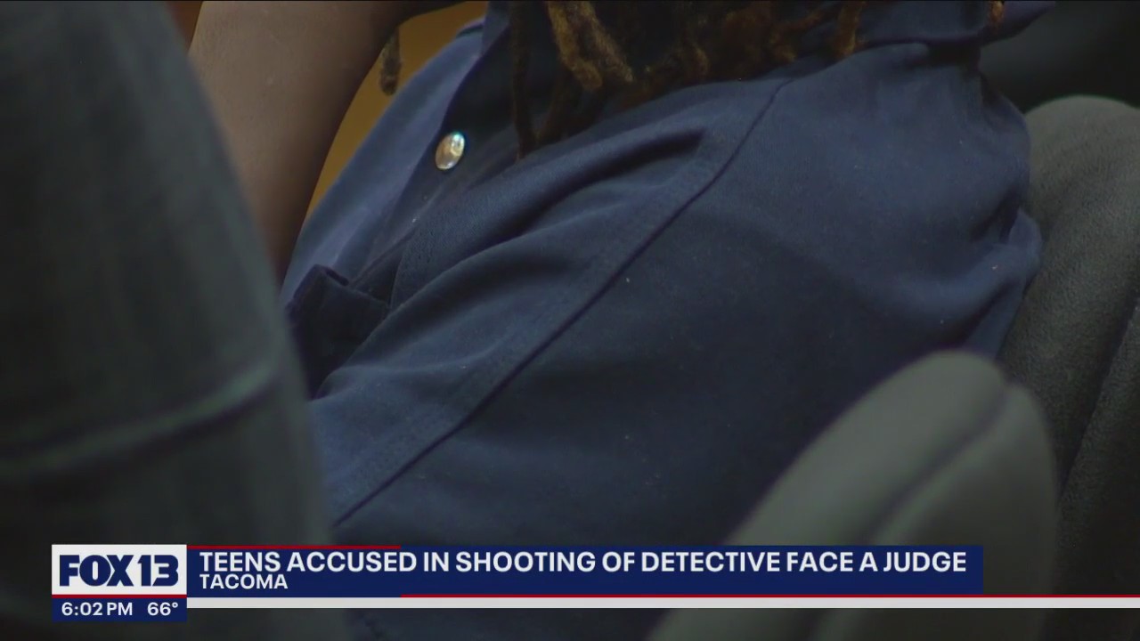 2 teens accused of stealing car, shooting detective face judge