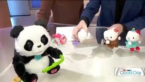 FOX 9 Good Day: Nov. 28, 2025