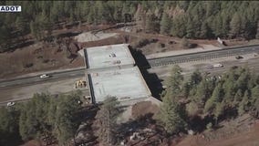 $15.8M wildlife overpass in Arizona halfway finished