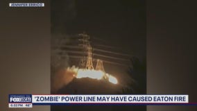 'Zombie' power line may have cause Eaton Fire
