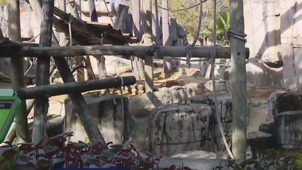 Animals at ZooTampa stay warm as temps drop