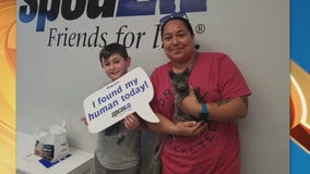 Pet Project: Theon from spcaLA gets adopted