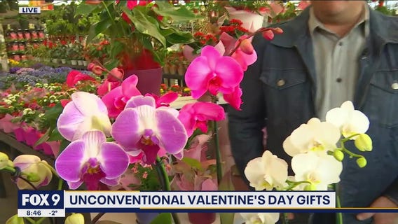 Unconventional Valentine?s Day Gifts that last longer than fresh cut flowers