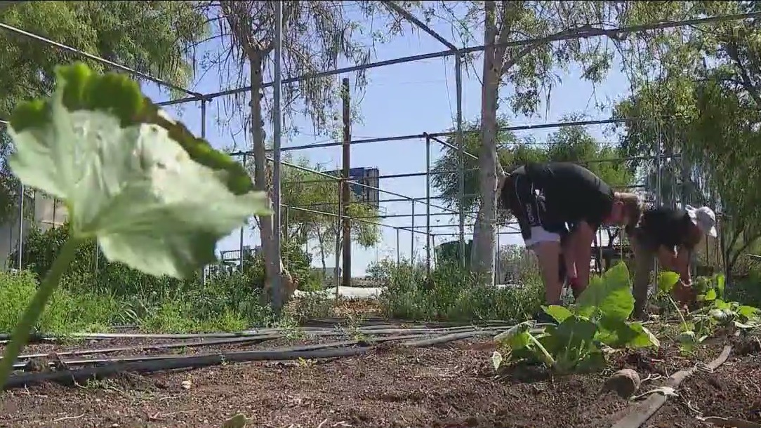 Students with autism get experience working on a farm