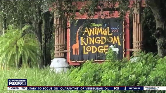 Woman sues Disney for $50K after falling near pool