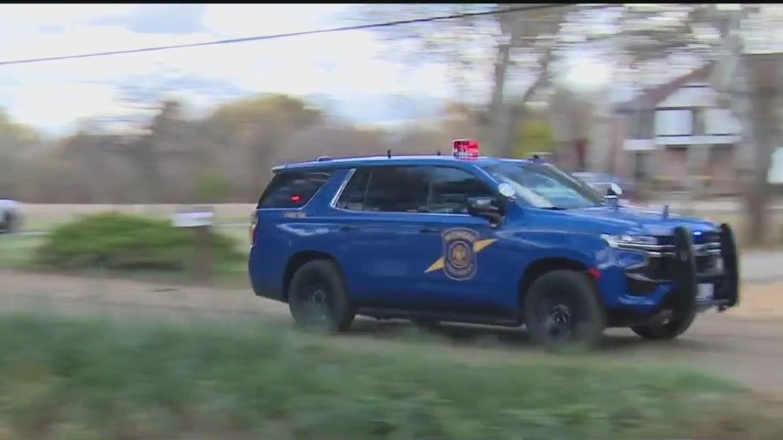 Wild manhunt in Taylor ends with suspect's arrest