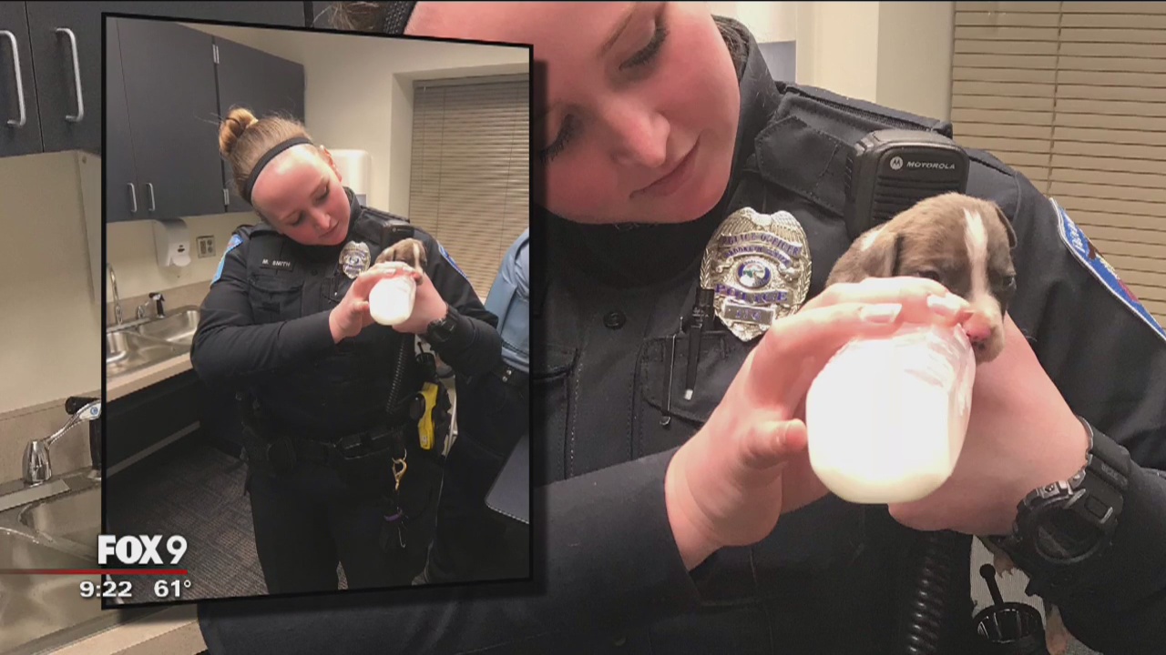 Brooklyn Center police nurture puppies left at station